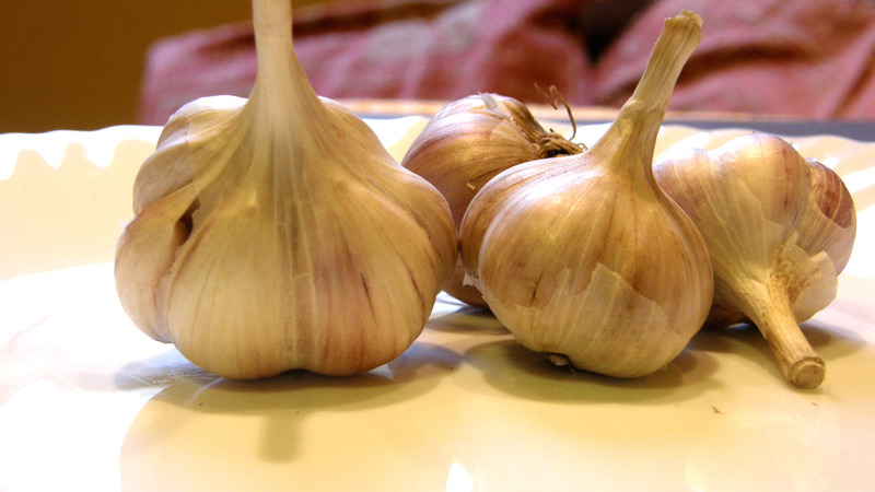 Cesnakas