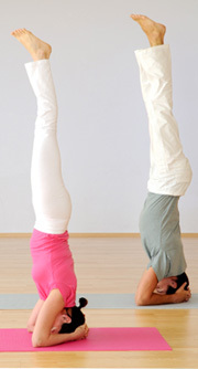 joga