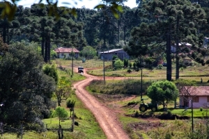 Skiepai keliaujant