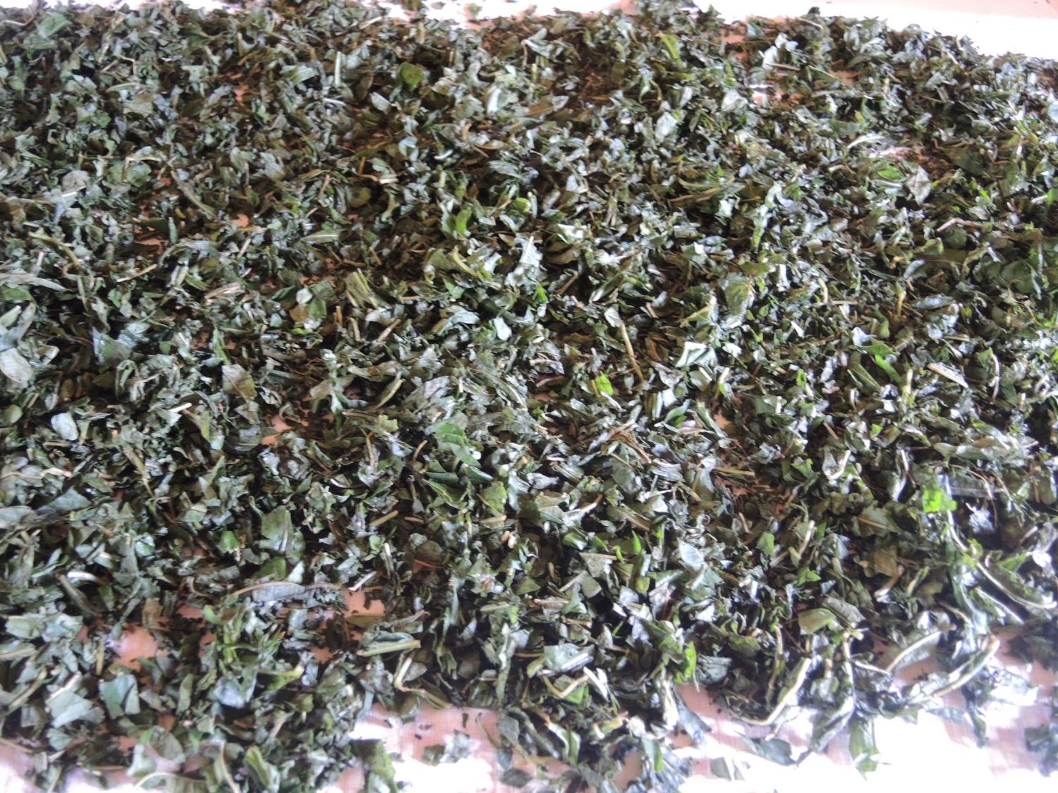 Fermentuota gauromečio arbata